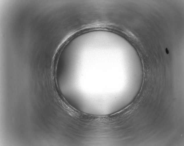 X0000053011216200508051151