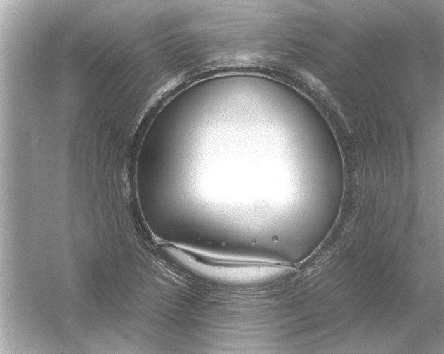 X0000053011218200508051151