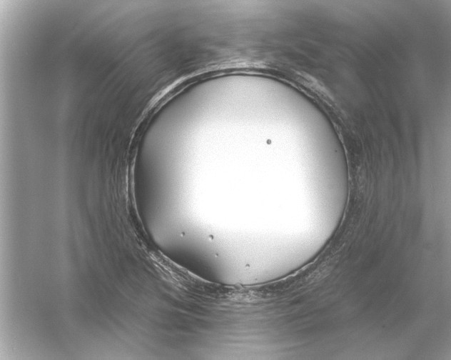 X0000053011220200508051151