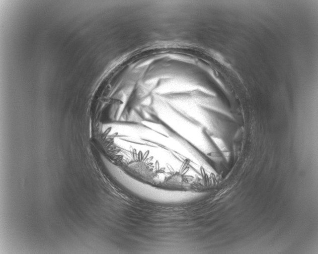 X0000053011221200508051151