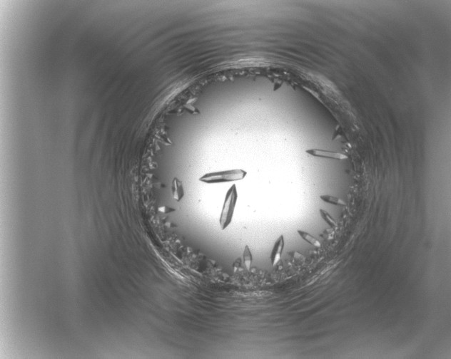 X0000053011225200508051152