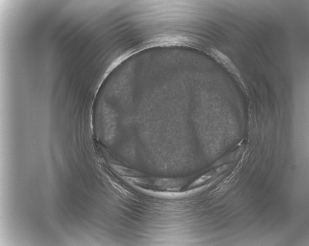 X0000053011226200508051152