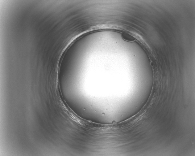 X0000053011228200508051152