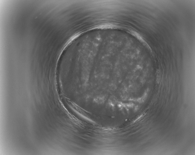 X0000053011229200508051152