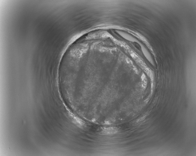 X0000053011231200508051152