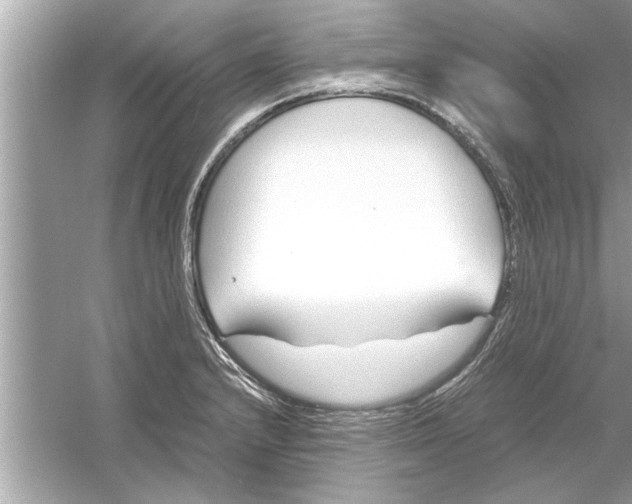 X0000053011232200508051152