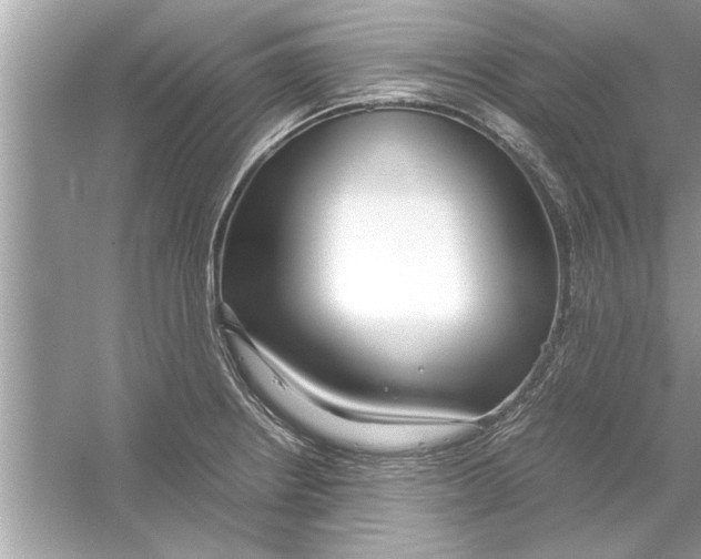 X0000053011234200508051152