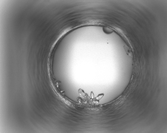 X0000053011235200508051152