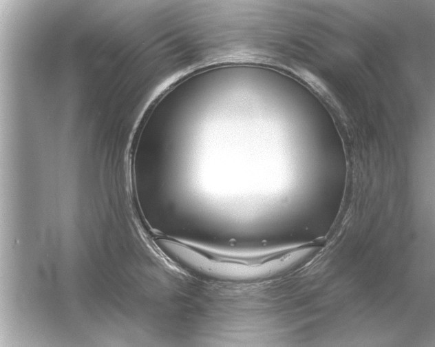 X0000053011238200508051152