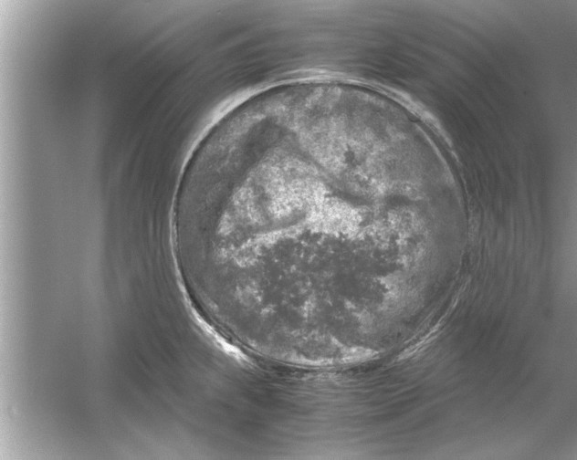 X0000053011239200508051152