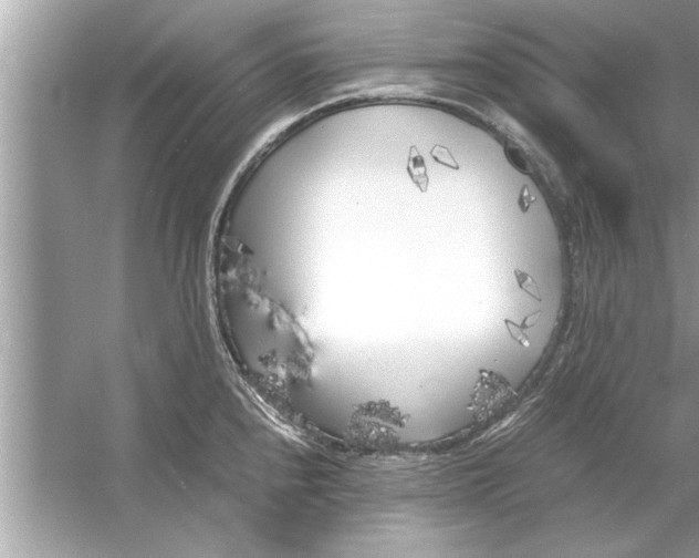 X0000053011240200508051152