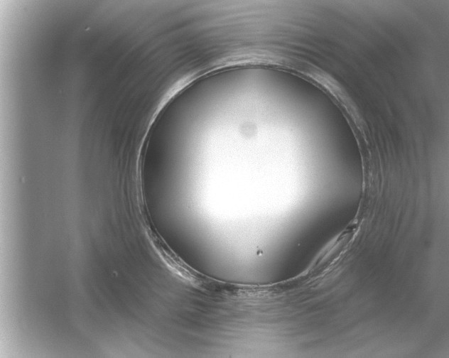 X0000053011242200508051152