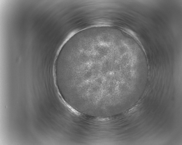 X0000053011243200508051152