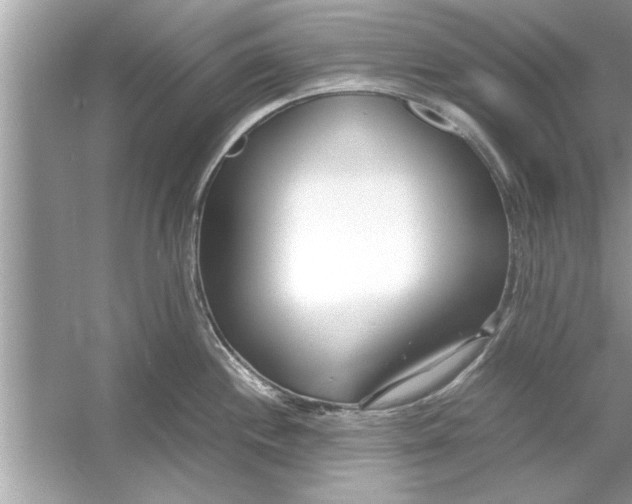 X0000053011244200508051152