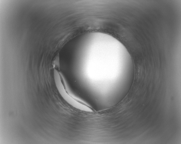 X0000053011250200508051151