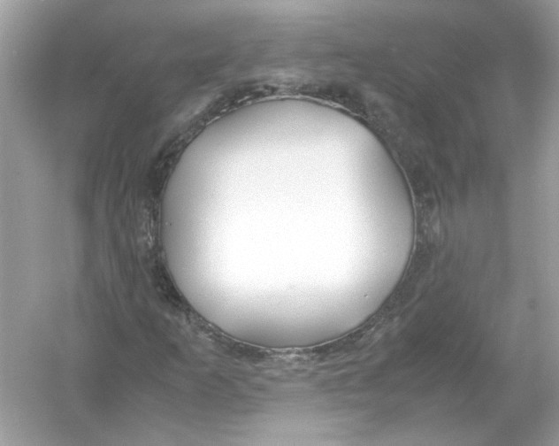 X0000053011253200508051151