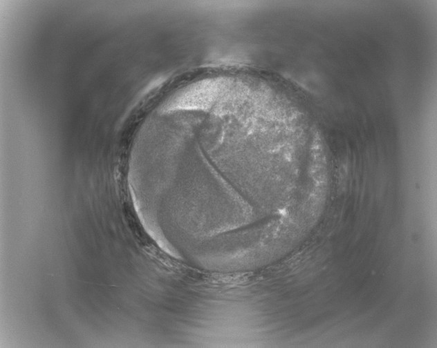 X0000053011254200508051151