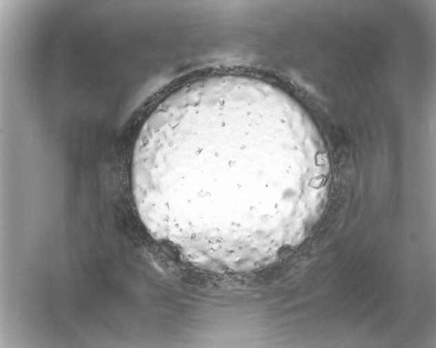 X0000053011255200508051151