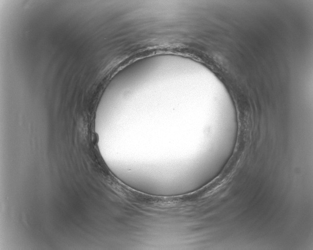 X0000053011257200508051151