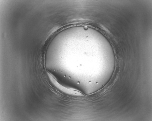 X0000053011259200508051151