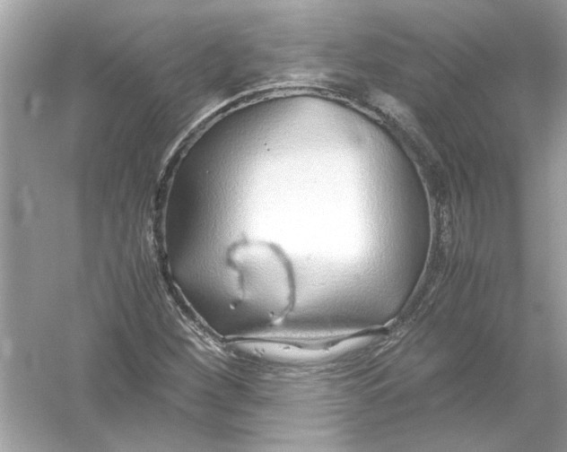 X0000053011260200508051151