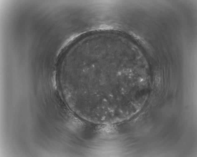 X0000053011262200508051151