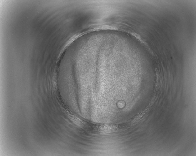 X0000053011266200508051151