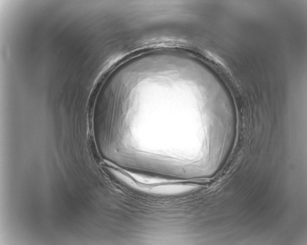 X0000053011267200508051151