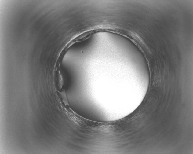 X0000053011268200508051151