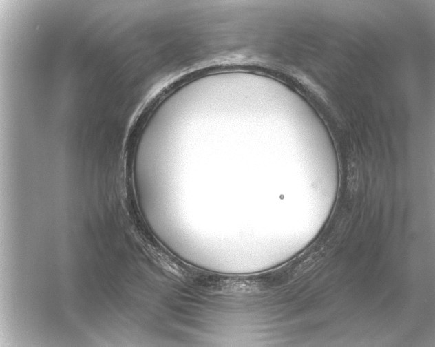 X0000053011270200508051151