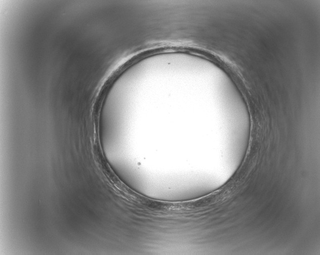 X0000053011271200508051151