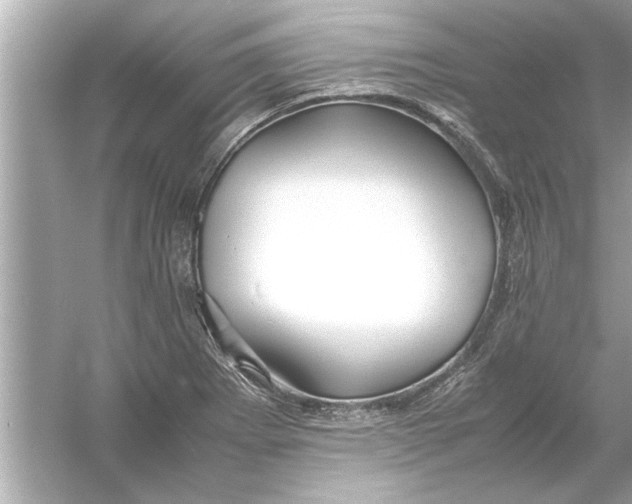 X0000053011273200508051151