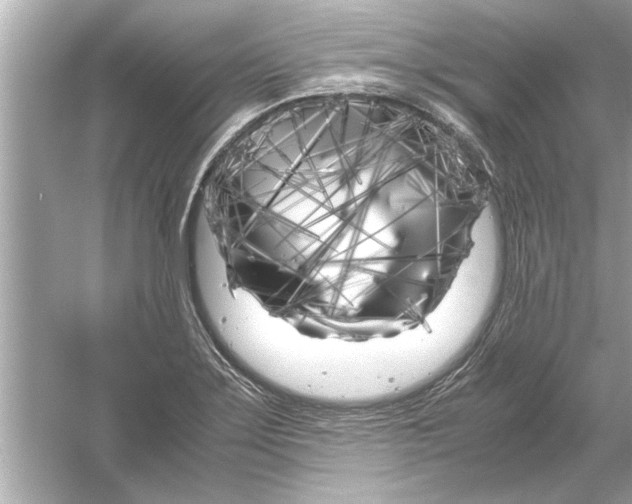 X0000053011275200508051151