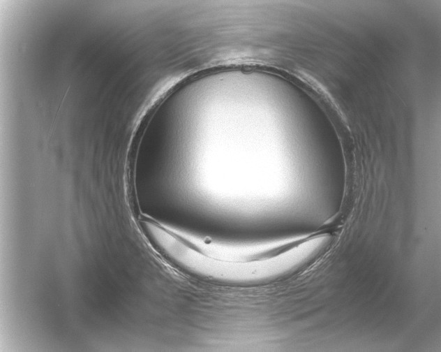 X0000053011277200508051151