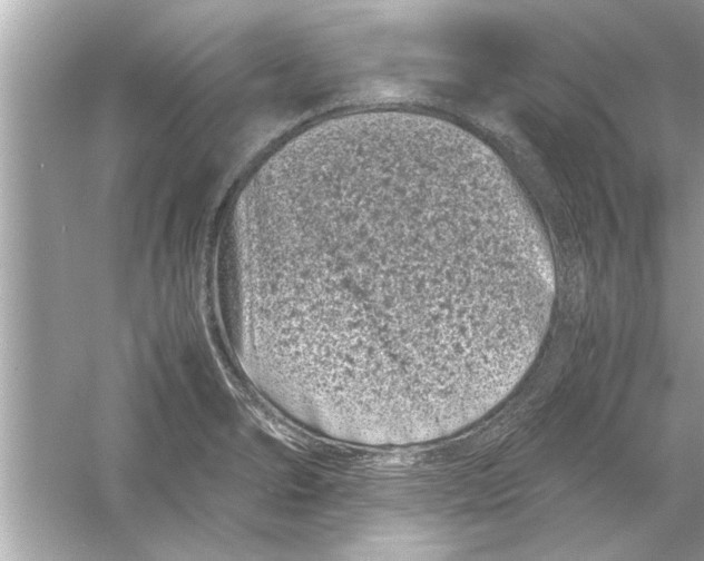 X0000053011278200508051151