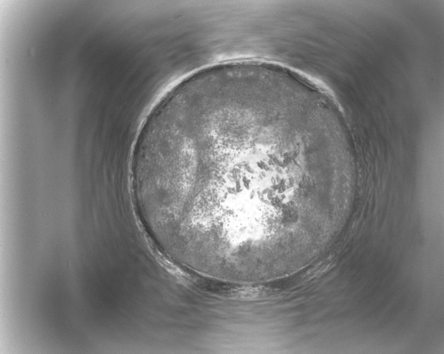 X0000053011279200508051151