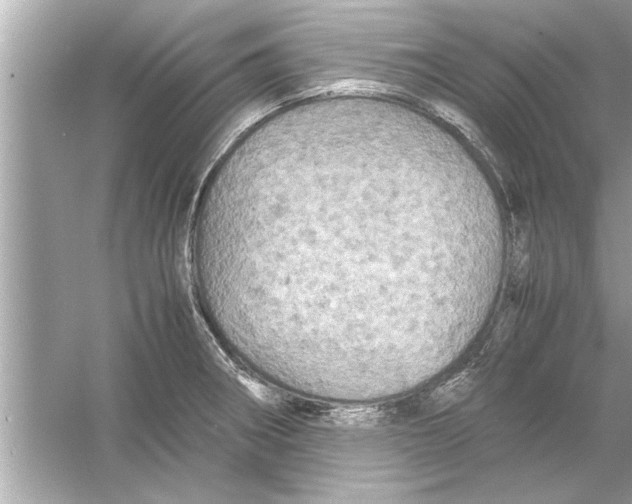 X0000053011282200508051151