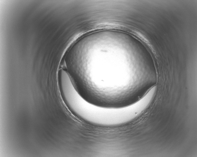 X0000053011283200508051151