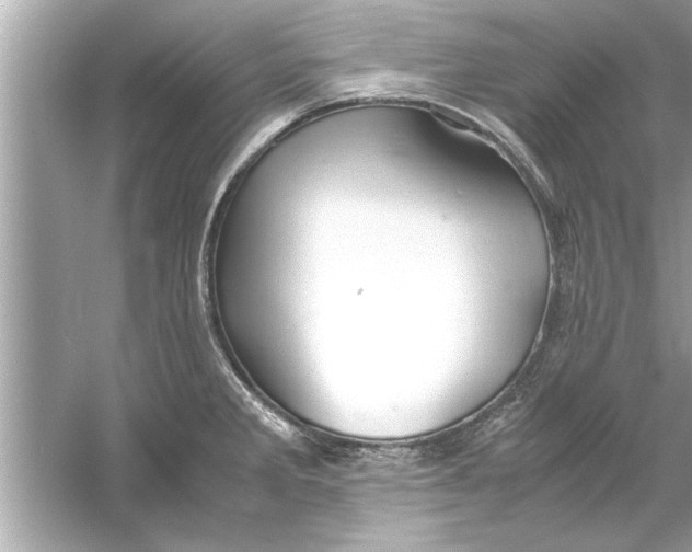 X0000053011285200508051151