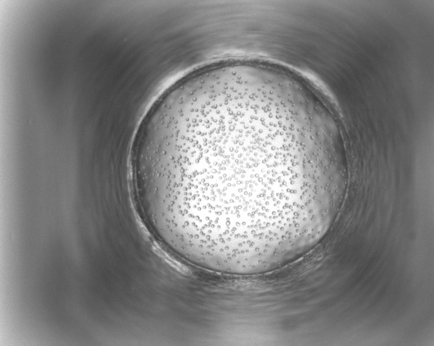 X0000053011287200508051150