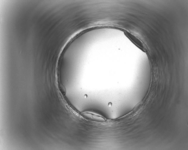 X0000053011288200508051150