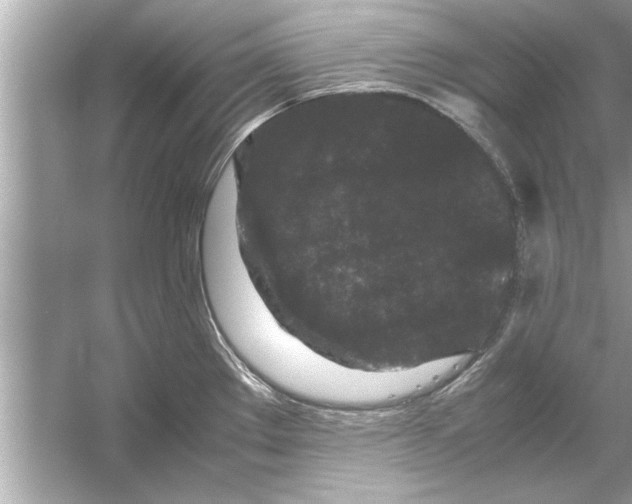 X0000053011289200508051150