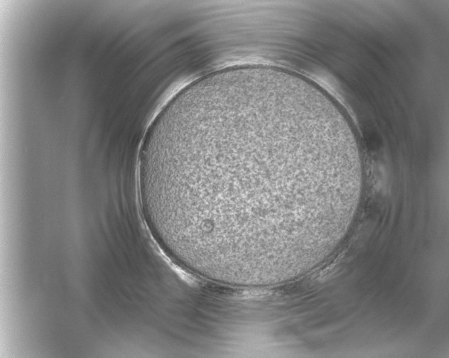 X0000053011290200508051150