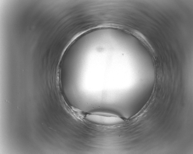 X0000053011292200508051150