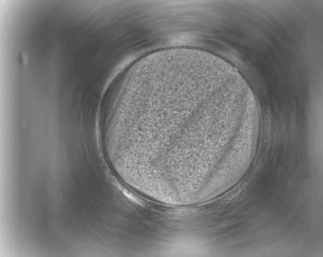 X0000053011294200508051150