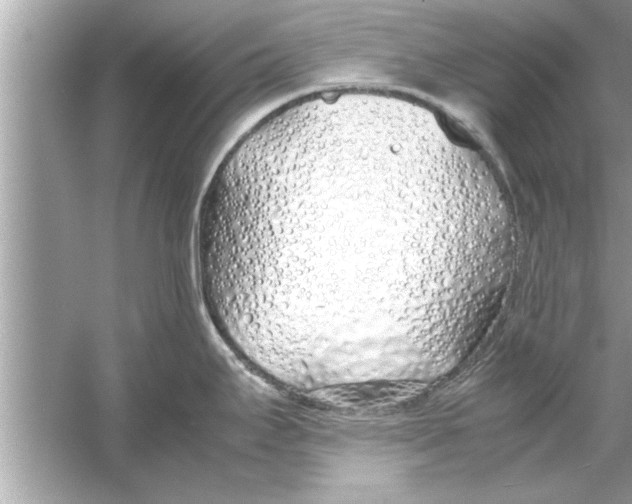 X0000053011295200508051150