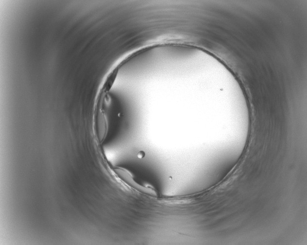 X0000053011296200508051150