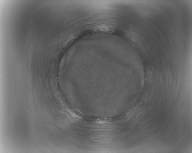 X0000053011297200508051150