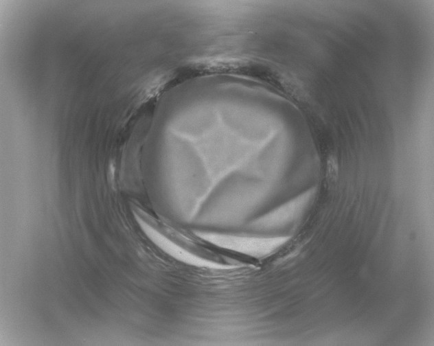 X0000053011300200508051150