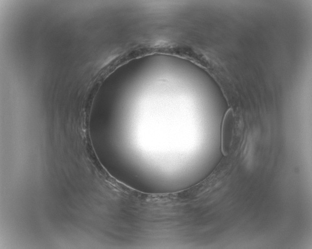 X0000053011301200508051150